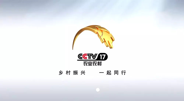 CCTV-17农业农村频道LOGO,CCTV-17农业农村频道标志,CCTV-17农业农村频道品牌形象设计