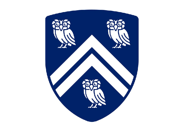 美国莱斯,大学,LOGO,设计